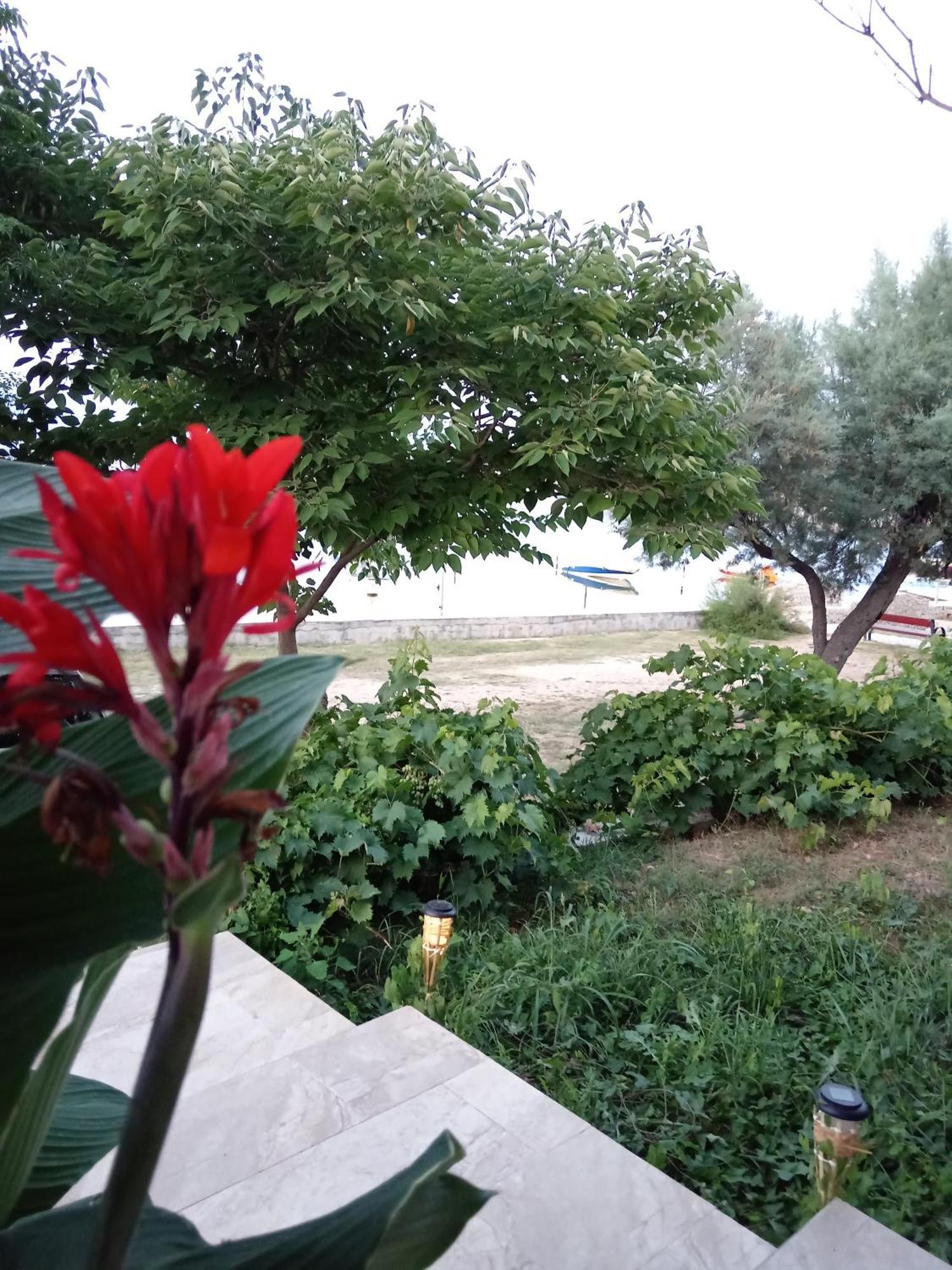Seaview Holiday Apartments, Ventura 닌 외부 사진